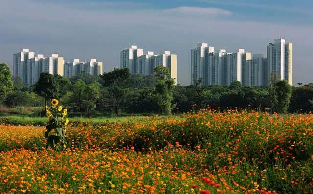 More regulations for developing green cities ảnh 1