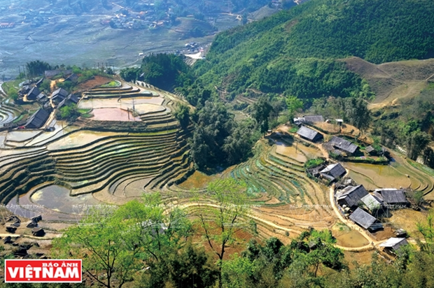 Hoang Lien National Park, a promising ecological tourism site ảnh 2