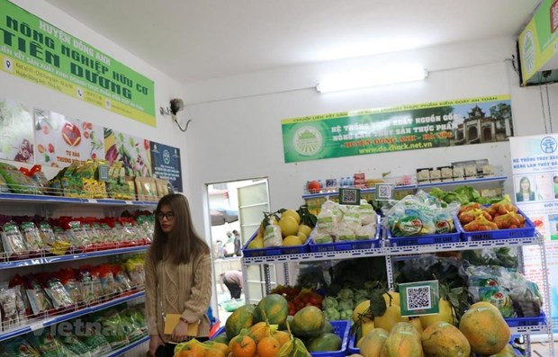 Climbing pork prices push November CPI up 0.96 percent ảnh 2