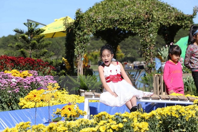 Da Lat flower festival kicks off with myriad of activities ảnh 1
