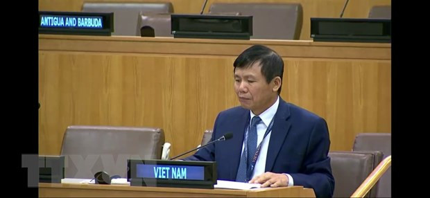 Int’l cooperation, solidarity key to COVID-19 response: Ambassador ảnh 1