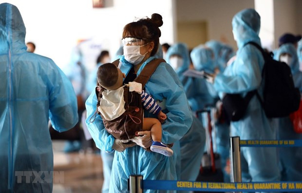 Over 220 Vietnamese citizens brought home from Japan ảnh 1