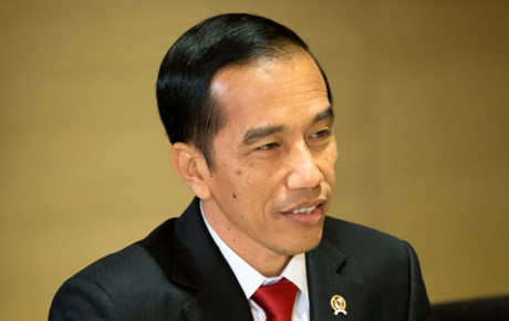 Indonesia renews cooperation with Timor Leste ảnh 1