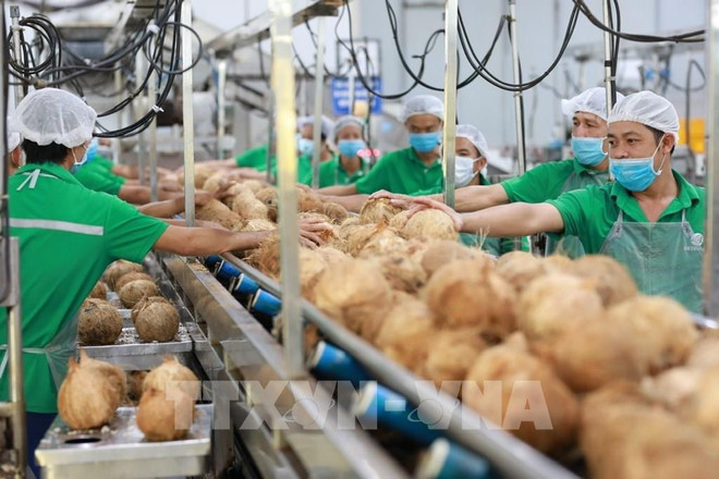HCM City Export Forum and Trade Fair slated for May 8-11 ảnh 1 HCM City Export Forum and Trade Fair slated for May 8-11 ảnh 1