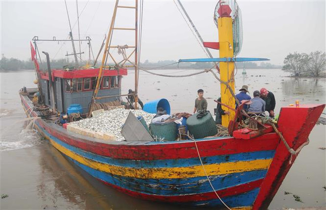 Thai Binh determined to remove IUU "yellow card" ảnh 1 Thai Binh determined to remove IUU "yellow card" ảnh 1