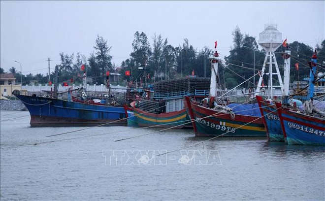MARD urges examination of fishing vessels without tracking ảnh 1