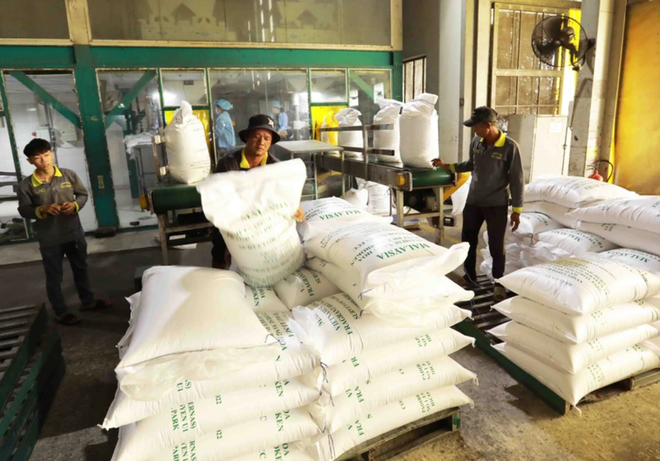 Businesses urged to seize opportunities to boost rice exports to Indonesia ảnh 1