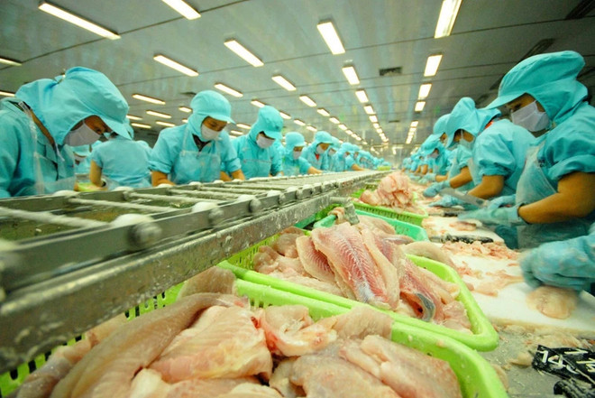 Tra fish leads Vietnam’s seafood exports to strong January growth ảnh 1