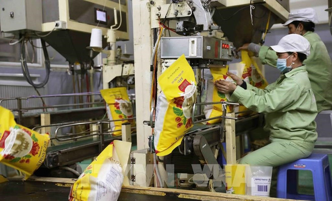 Rice sector works on 5 billion USD export target ảnh 1 Rice sector works on 5 billion USD export target ảnh 1