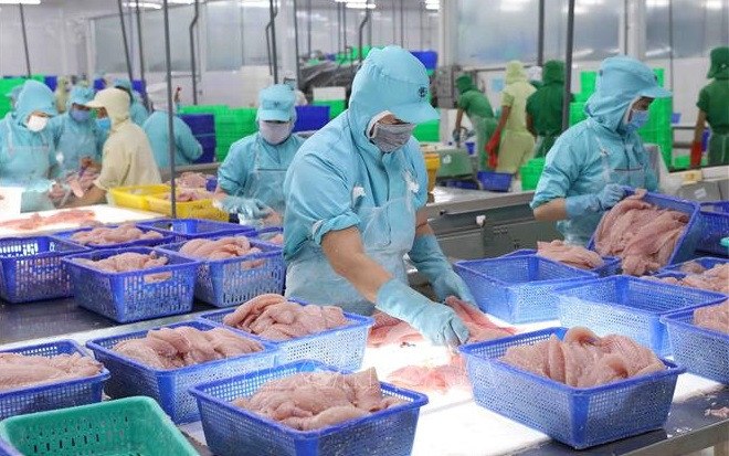 Vietnam's aquatic product exports expected to recover in 2024 ảnh 1 Vietnam's aquatic product exports expected to recover in 2024 ảnh 1