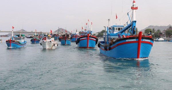 Quang Nam develops logistics services for offshore fishing, combat IUU fishing ảnh 1 Quang Nam develops logistics services for offshore fishing, combat IUU fishing ảnh 1