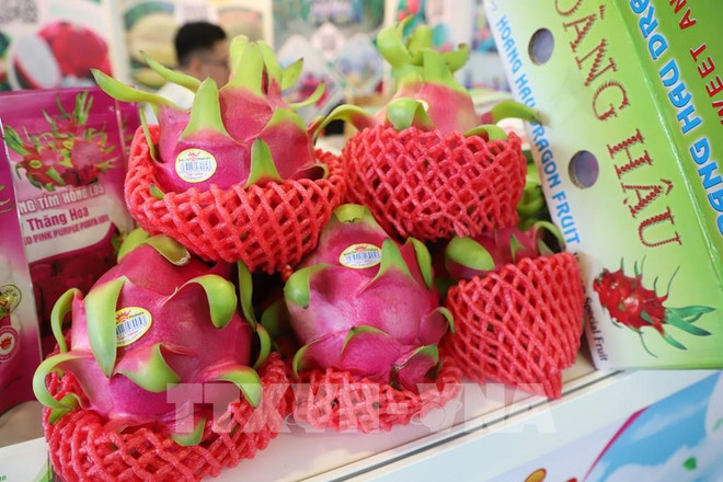 Agro-forestry-fishery trade surplus up nearly 2.9-fold ảnh 1