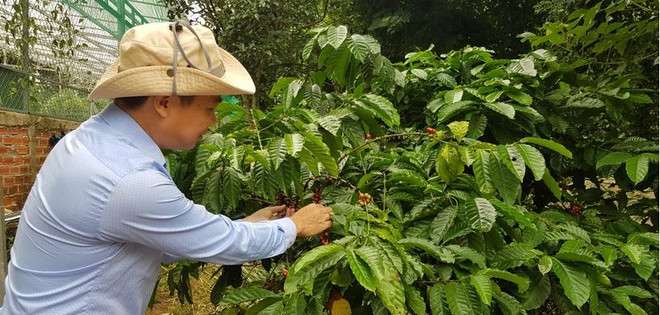 Vietnam shining amidst global agriculture: HSBC expert ảnh 1