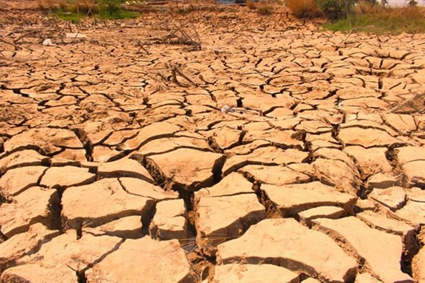 2019: untimely rain, less storms but abnormal ảnh 3