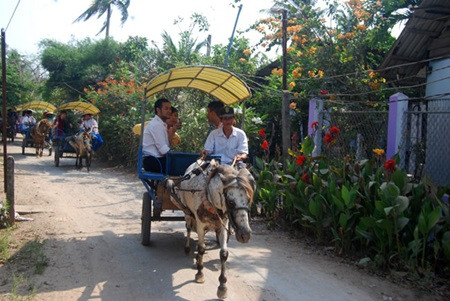  Tourism focuses on southeast region ảnh 1
