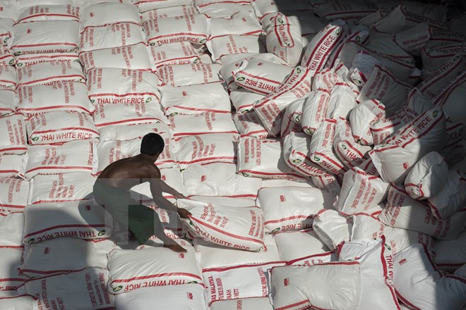 Myanmar to resume rice export in mid-September ảnh 1