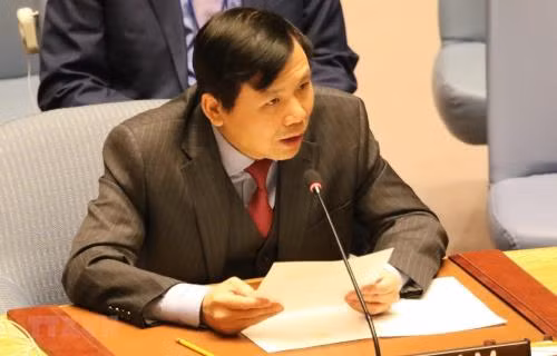 Vietnam ready for UN Security Council’s non-permanent membership ảnh 1