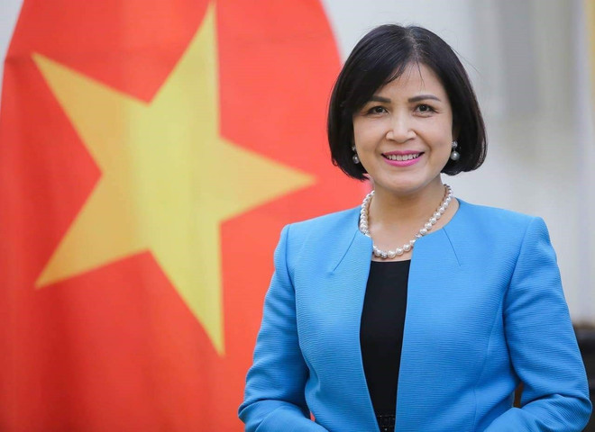 Vietnam chairs meeting of ASEAN Committee in Geneva ảnh 1