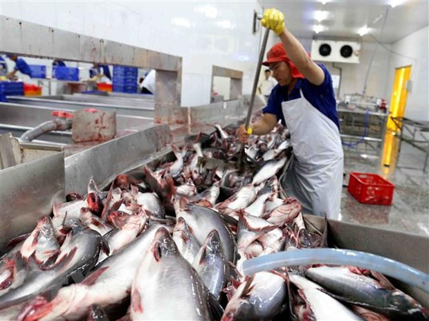 Tra fish export value hits 1.2 billion USD in 10 months ảnh 1