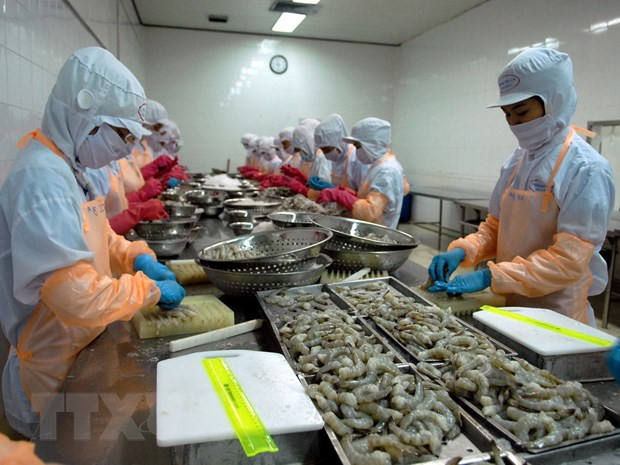 ASEAN holds potential for Vietnam’s shrimp exports ảnh 1