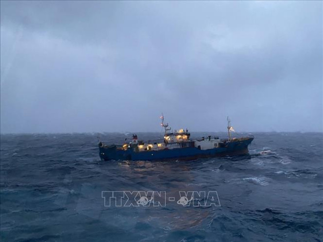 Disabled Russian cargo vessel towed ashore by Vietnamese navy ảnh 1