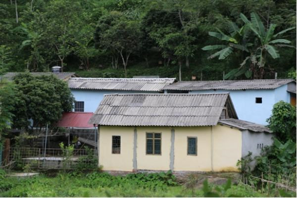 Roadmap to cease the use of chrysotile – Many unresolved issues ảnh 1