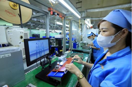 Going green to foster exports to choosy markets ảnh 2