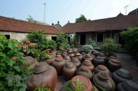 Hanoi eco-farm excursions appeal to foreigner tourists ảnh 3