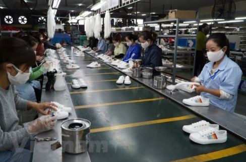 Going green to foster exports to choosy markets ảnh 1