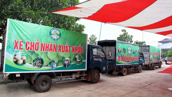 Bringing Vietnam – Australia ties to new development page ảnh 5