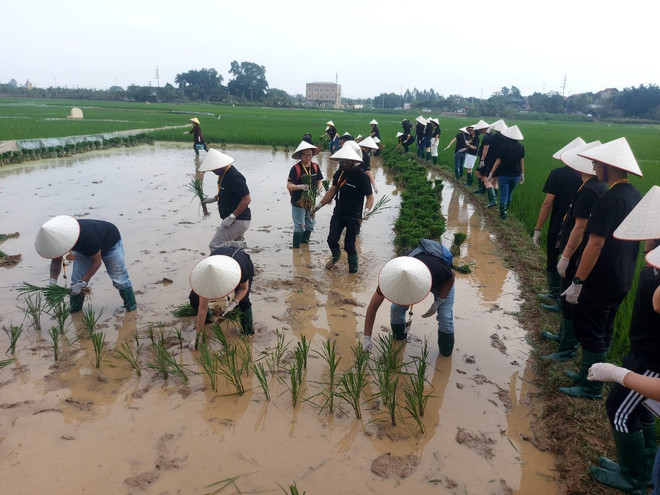 Hanoi eco-farm excursions appeal to foreigner tourists ảnh 1