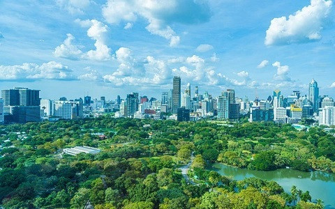 Wood industry has opportunities to increase revenue from carbon credits ảnh 2