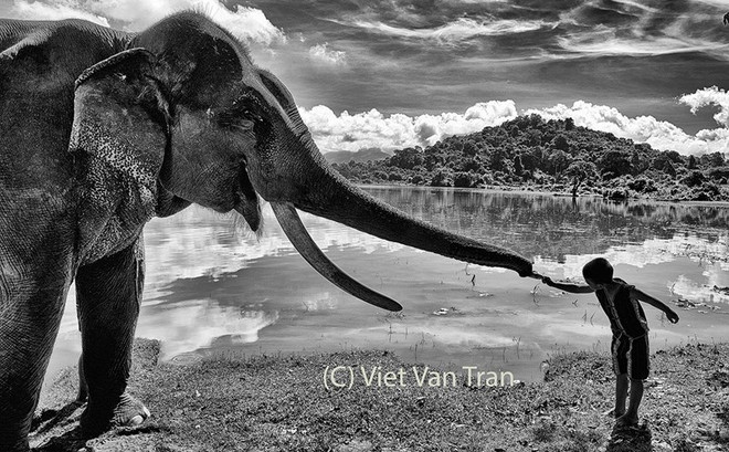 Photographer wins two silvers at New York Photography Awards ảnh 1