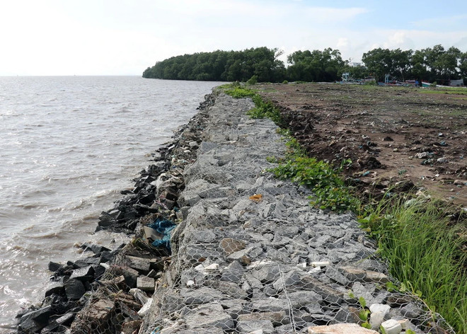 Tra Vinh declares coastal landslide emergency ảnh 1