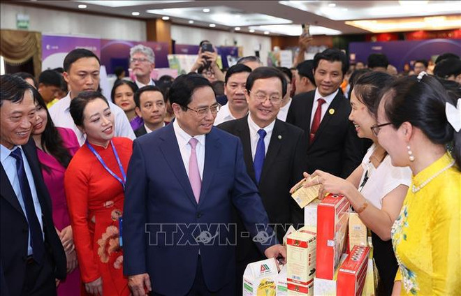 Startup, innovation must be crucial political task: PM ảnh 2