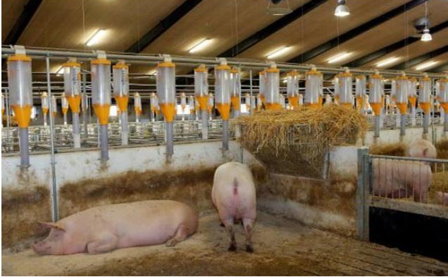 VN looks to develop fertilizer production from livestock waste ảnh 1 VN looks to develop fertilizer production from livestock waste ảnh 1