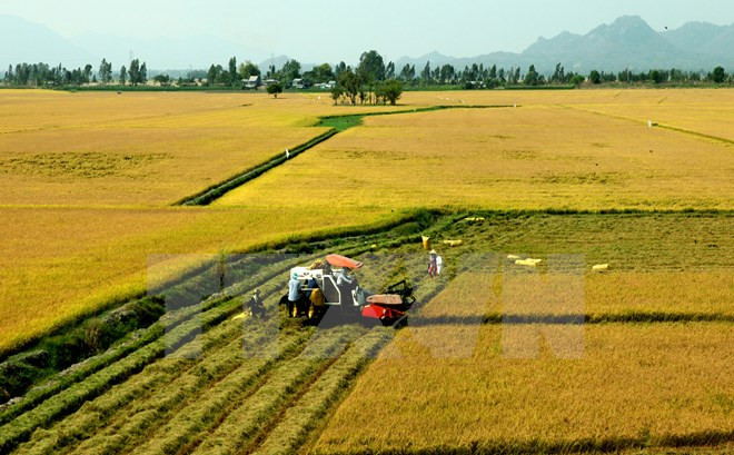 Belgian friends hail Vietnam’s socio-economic achievements ảnh 1