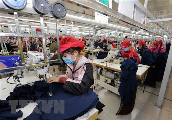 Online trade promotion helps businesses adapt to COVID-19 ảnh 1