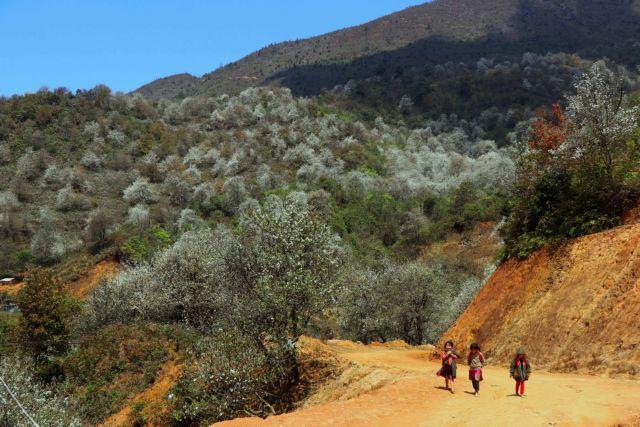 Son La holds potential to be world's top natural destination ảnh 1 Son La holds potential to be world's top natural destination ảnh 1