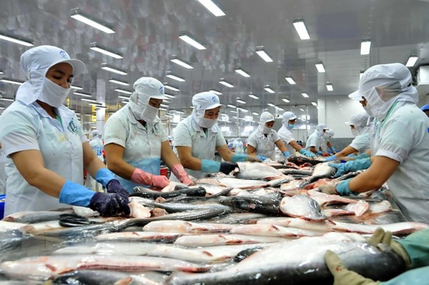 Fisheries businesses face tough year in 2023 ảnh 1 Fisheries businesses face tough year in 2023 ảnh 1