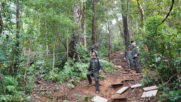 Vietnam eyes investment in clean energy to develop carbon market ảnh 1