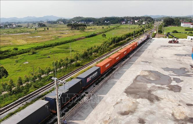 Bac Giang ships 56 tonnes of fresh lychees to China by rail ảnh 1 Bac Giang ships 56 tonnes of fresh lychees to China by rail ảnh 1