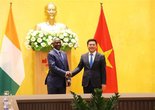 Vietnam places Côte d’Ivoire among top trade partner in Africa: minister ảnh 1 Vietnam places Côte d’Ivoire among top trade partner in Africa: minister ảnh 1