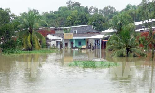 Torrential rains wreak havoc on Quang Nam ảnh 1