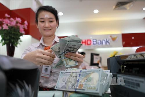 Reference exchange rate turns around to drop on December 13 ảnh 1