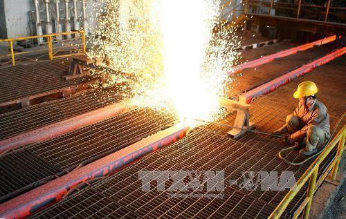 Hoa Phat Group moves to expand market share of steel products ảnh 1