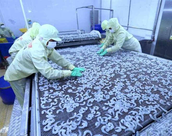 Local firms prepare for CPTPP’s strict regulations ảnh 1 Local firms prepare for CPTPP’s strict regulations ảnh 1