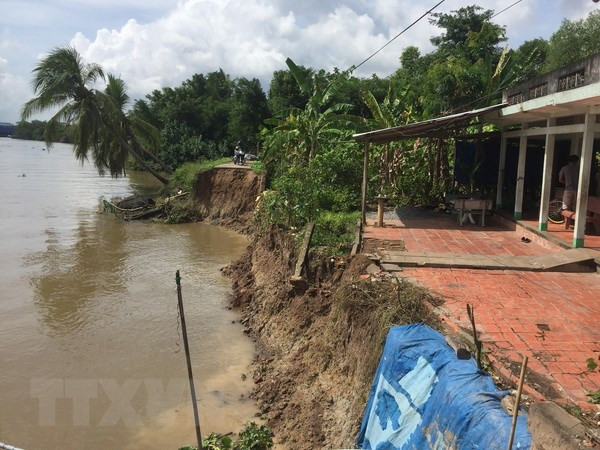 Mekong Delta needs ecosystem-based solutions to climate change ảnh 1 Mekong Delta needs ecosystem-based solutions to climate change ảnh 1
