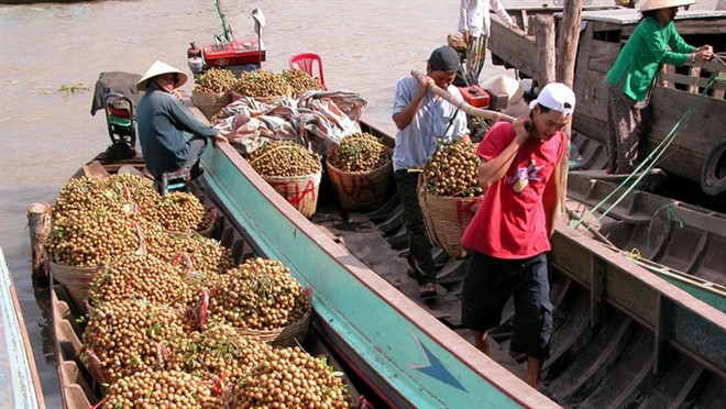 Vegetable, fruit export growth slows down ảnh 1