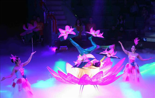 Circus artists show off talent at national competition ảnh 1 Circus artists show off talent at national competition ảnh 1